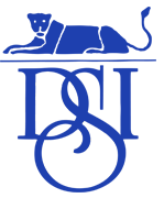 Decision Science, Inc. Logo