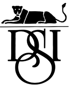 Decision Science, Inc. Logo